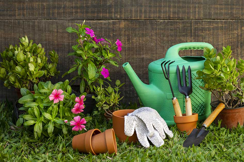 10 Segreti del Giardinaggio che Ogni Appassionato Dovrebbe Conoscere